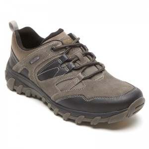 Men Rockport Cold Springs Plus Waterproof Low Tie Hiking Boots Grey Brown USA | QD1-83448